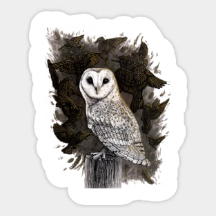 Barn Owl with Golden Starlings Sticker